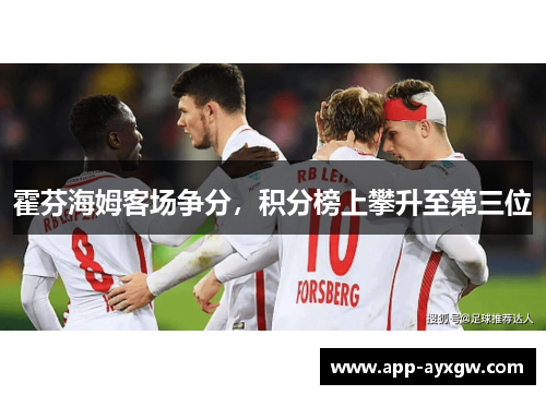 霍芬海姆客场争分，积分榜上攀升至第三位